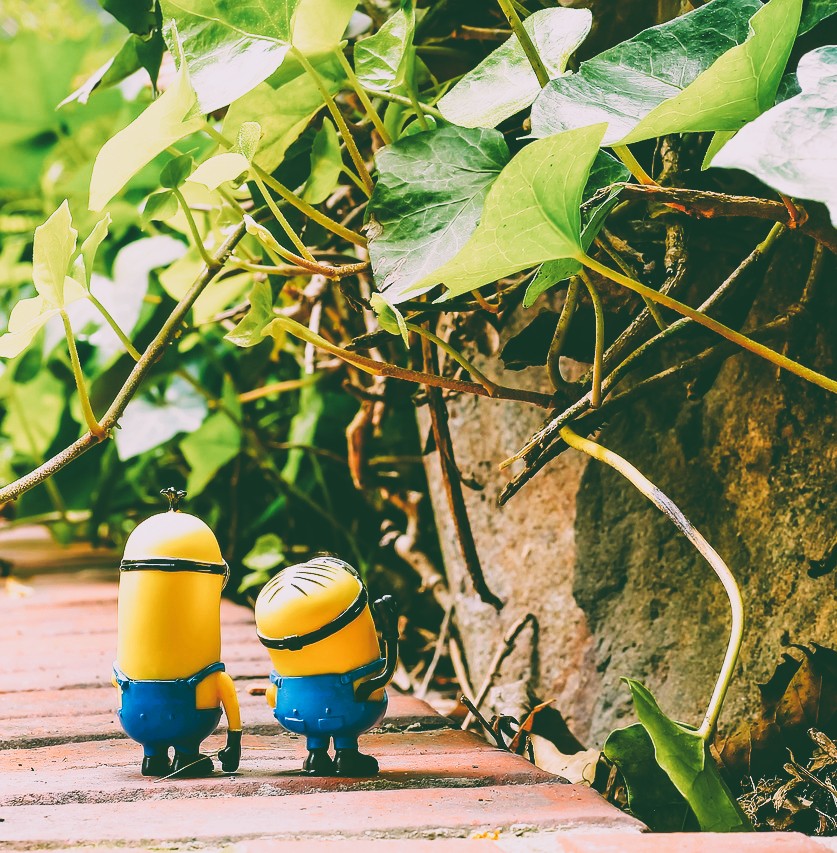 Історія компанії